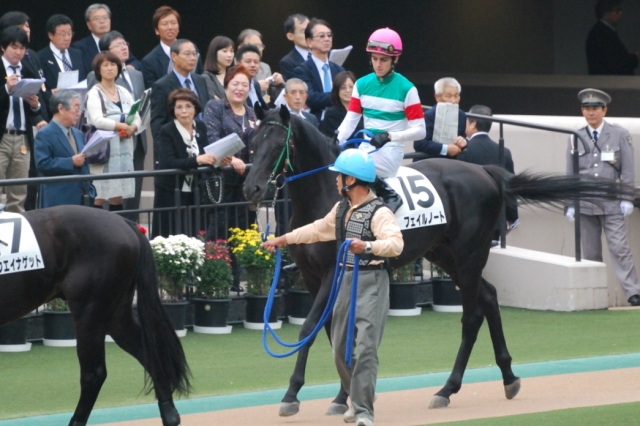 11月 1日新馬戦 フェイルノート