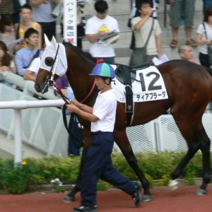 阪神500万円以下 芝1200m