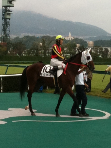 阪神500万円以下 芝1400m ディアブラーダ