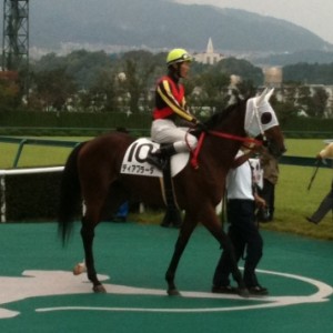 阪神500万円以下 芝1400m