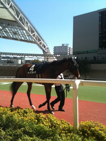 仲秋特別 芝1400m ディアブラーダ