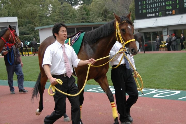 ファルコンステークス ジュエルオブナイル