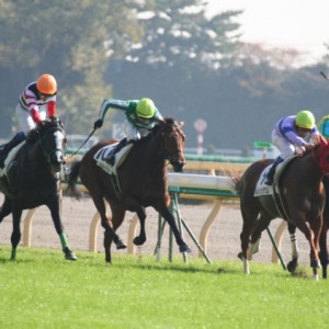 2009.11.21　２歳未勝利(左から２頭目)