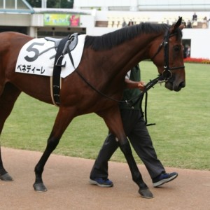 2009.09.27新馬戦パドック