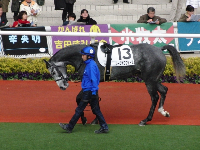 09/12/27阪神7R芝1600m　 パドック リープオブフェイス