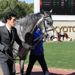 10/1/24 京都7R　ダ1400m　パドック