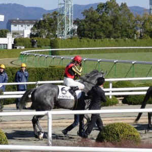 10/1/24 京都7R　ダ1400m　本馬場入場