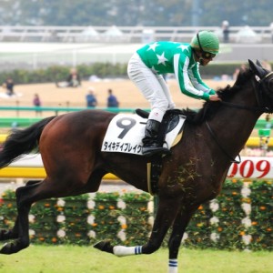2009年11月8日 2歳未勝利 東京芝1400m