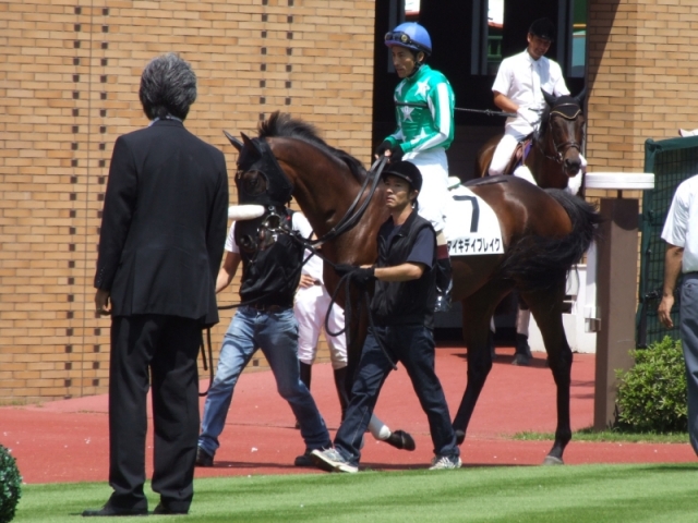 H21,8,16 デビュー戦パッドック タイキデイブレイク