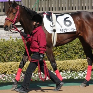 2010年2月20日東京7R３歳５００万下