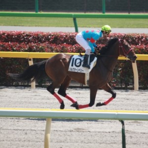 2010/04/25東京5R3歳500万