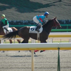 2010年2月20日　3歳500万円以下