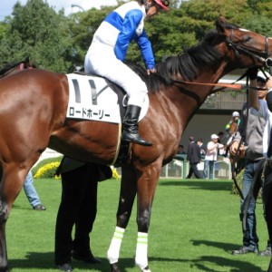 新馬戦パドック２