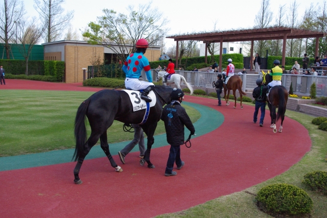 2010年5月1日（土） 1回新潟1日 シルクオールディー