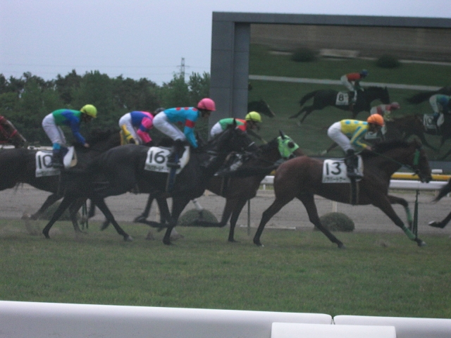 ５月２３日新潟競馬場（初勝利） シルクオールディー