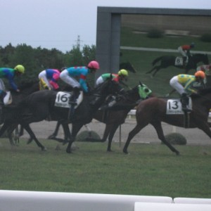 ５月２３日新潟競馬場（初勝利）