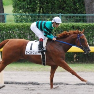 9月5日未勝利戦