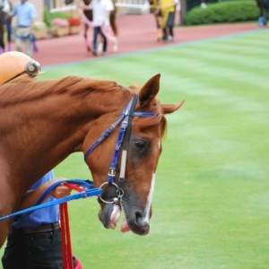 9月5日未勝利戦