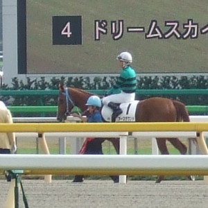 11/8 東京500万下 馬場入場