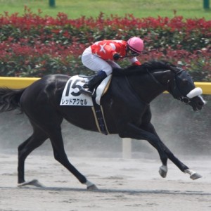 2010/6/12 東京２Ｒ ３歳未勝利