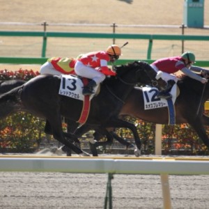 2010年2月7日東京３R３歳新馬戦