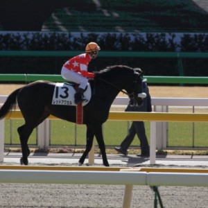2010年2月7日東京３R３歳新馬戦