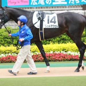 2010/05/29東京2R3歳未勝利戦