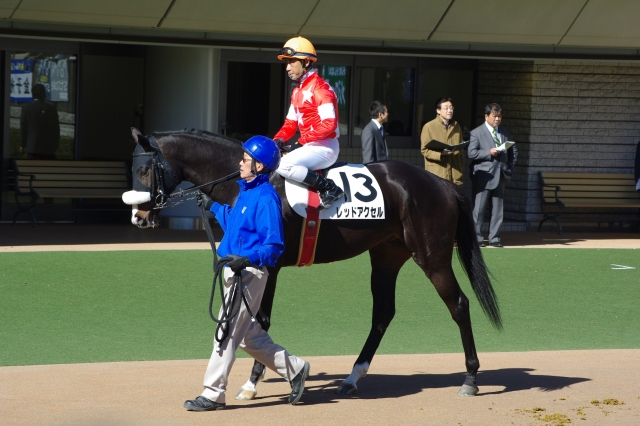 2010/02/07　東京３Ｒ　メイクデビュー東京 レッドアクセル