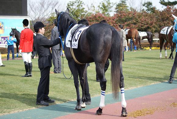 新馬（中京にて）③ クールクラージュ