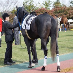 新馬（中京にて）③