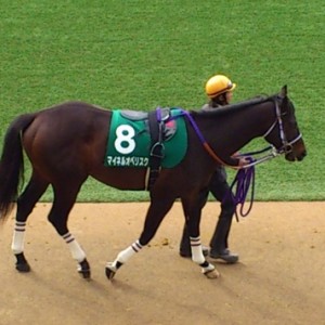 中山11RマーチステークスＧⅢパドック①