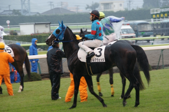福島競馬場 シルクウェッジ