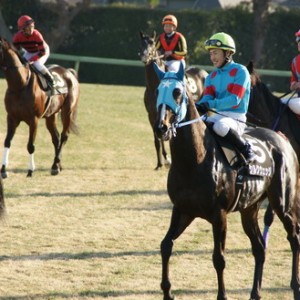 中山競馬場