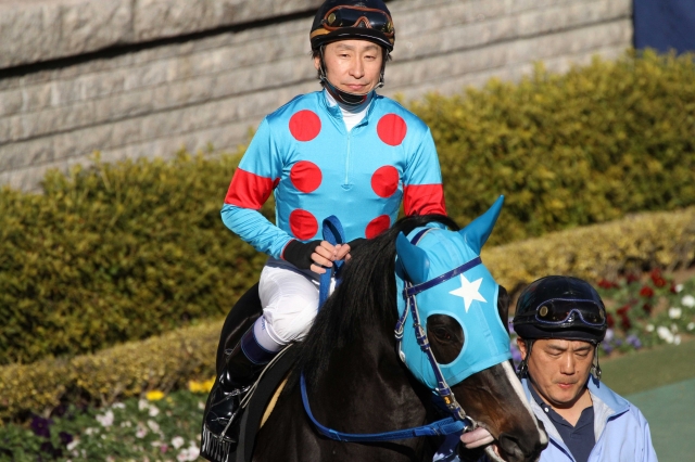 雲雀ステークス　パドック シルクウェッジ