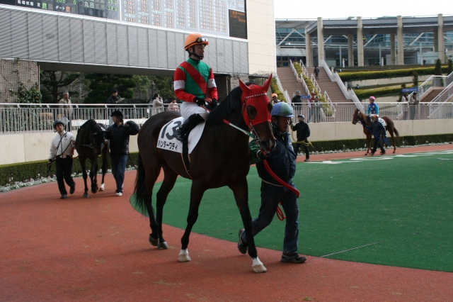 12/24 小倉8R 500万下 芝1200ｍ ハンターワディ