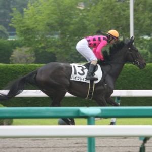 2010年6月20日3歳未勝利　返し馬