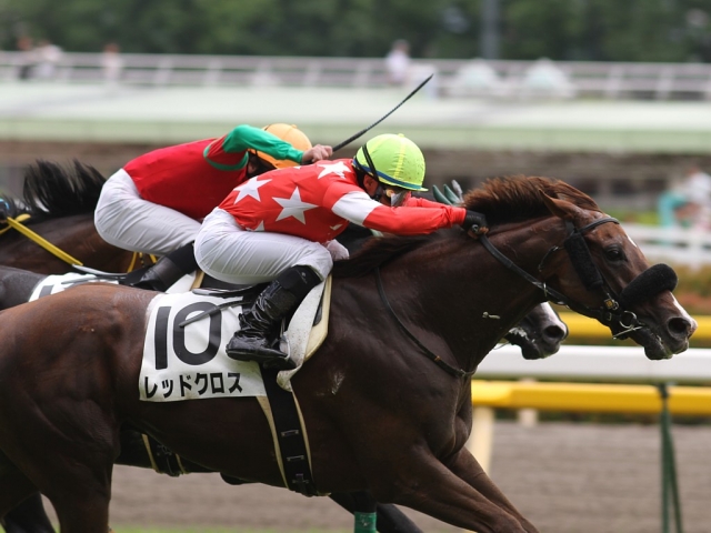 ３歳上500万下 レッドクロス