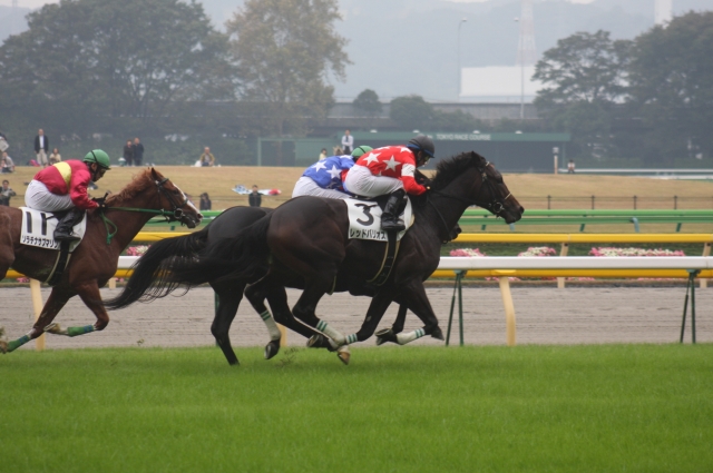 新馬戦 レッドバリオス