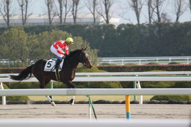 レッドバリオス　返し馬 レッドバリオス