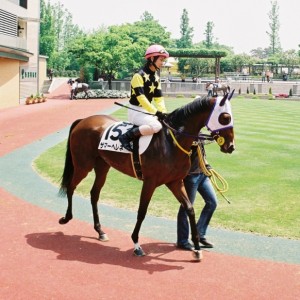 新潟未勝利戦　５月22日3Ｒ　パドック黛君付き