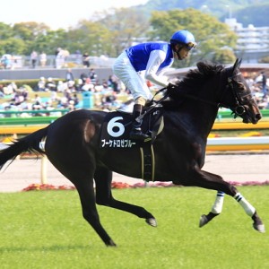 スイートピーS　ブーケドロゼブルー　返し馬