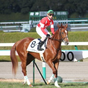 メイクデビュー阪神　返し馬