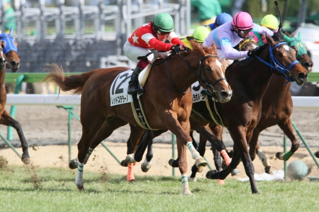 3歳未勝利（中京） レッドステラーノ
