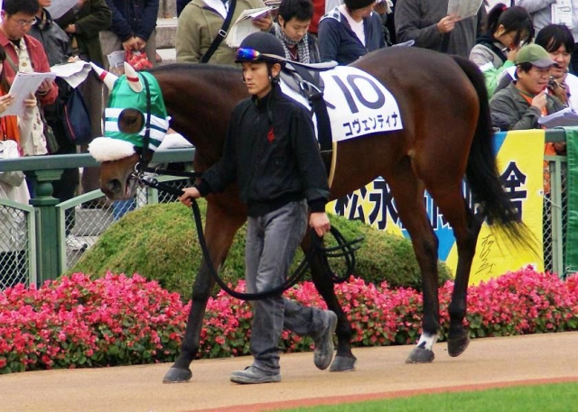 5回京都4日 未勝利1 コヴェンティナ