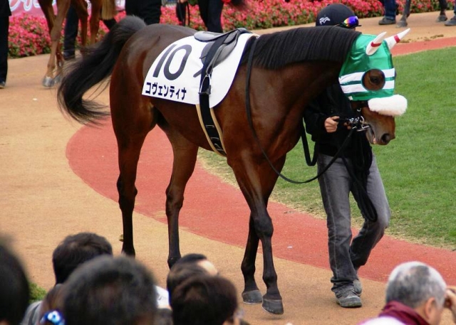 5回京都4日 未勝利2 コヴェンティナ