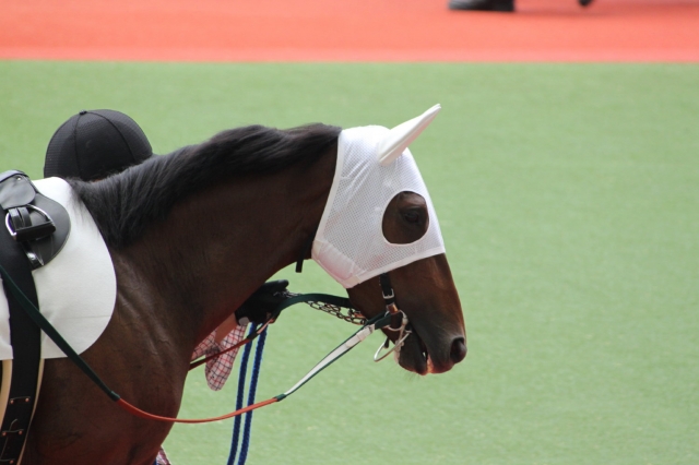 2010年7月4日　阪神１Ｒ３歳未勝利戦 コヴェンティナ