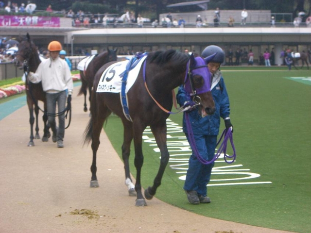 ヴィッキーの新馬戦 マイネヴィッキー