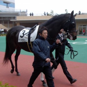 12月2日中京競馬場３Rパドック１