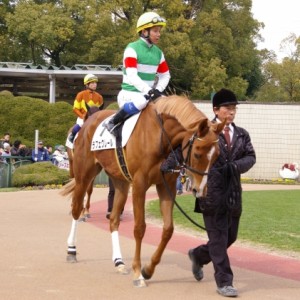 10.2.14　ラフェクレール＆岩田騎手　パドック