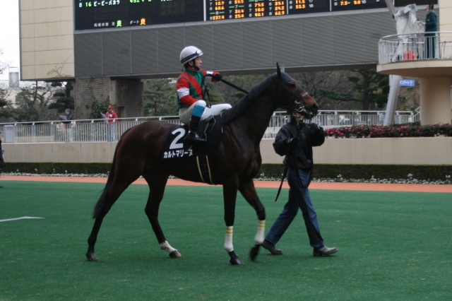 12/24 小倉12R 「志賀島特別」 芝1800ｍ カルトマリーヌ